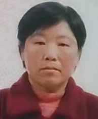 从业人员头像